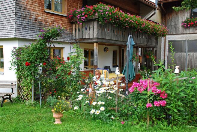 Liegewiese und Terrasse