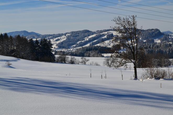 Blick von der Ferienwohnung