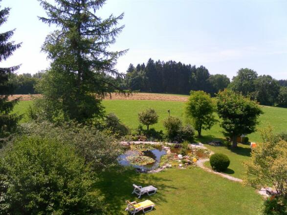 Teich im Garten