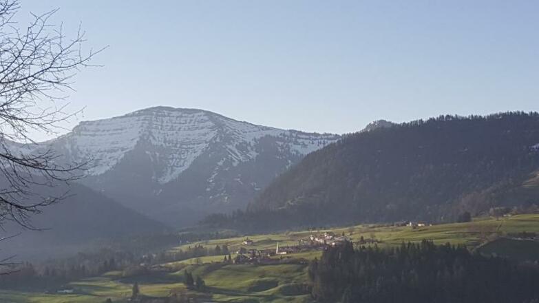 Blick auf den Hochgrat