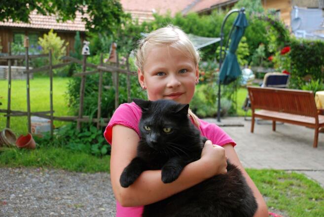 Kätzchen zum Streicheln
