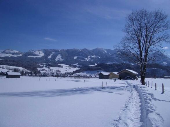winterbild