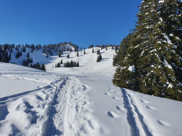 Winterbild