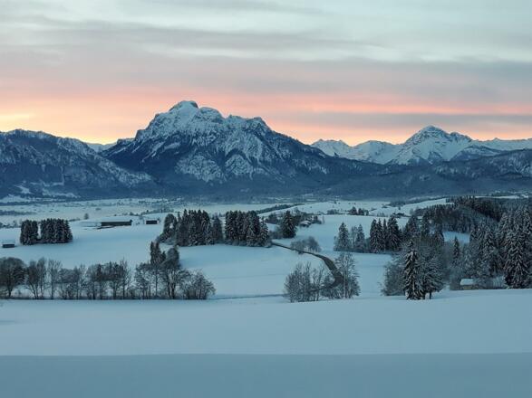 Winterimpressionen