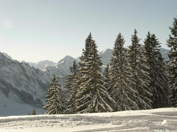 Berge im Winter