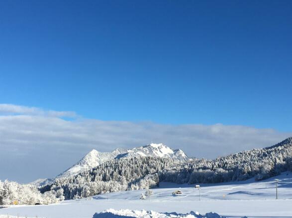 Blick vom Haus Richtung Grünten
