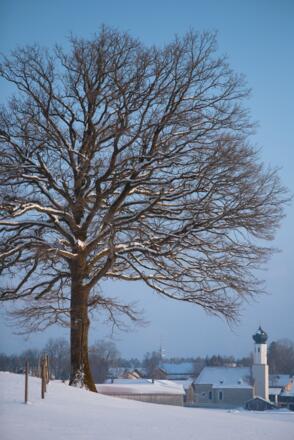 Blick zur Kirche in Piesenkam