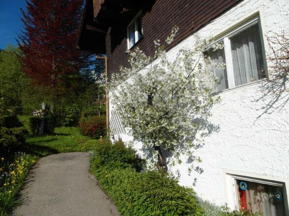 Hausansicht Süden Frühling