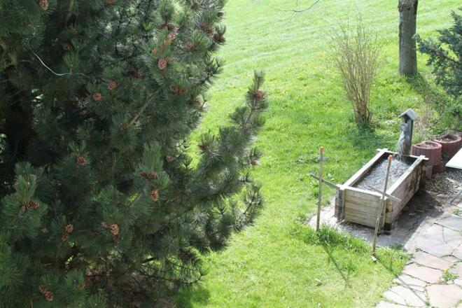 Ausblick aus Ihrer Ferienwohnung