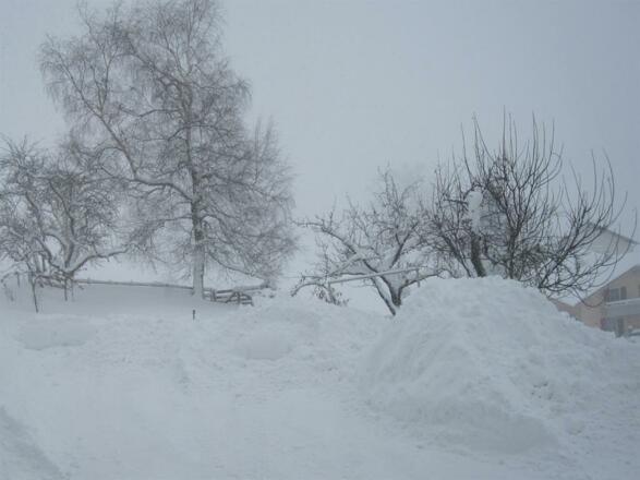 toller Schnee