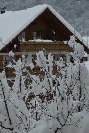 Winterbild