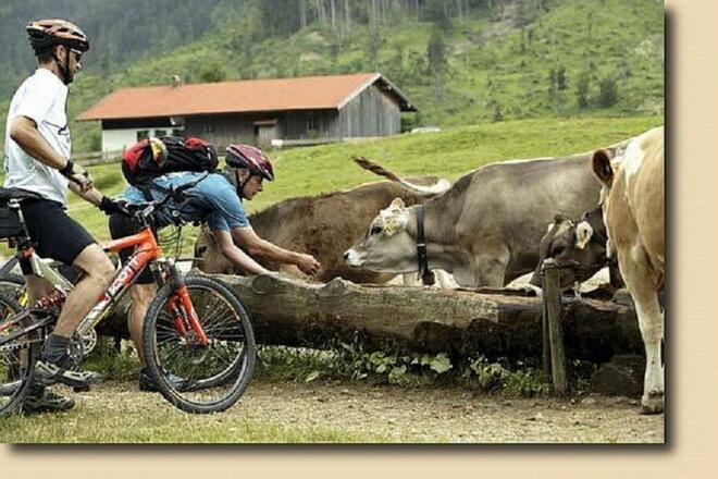 und natürlich für Radler
