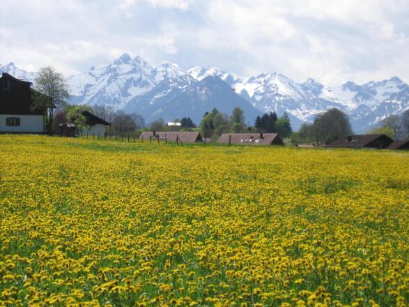 Blick nach Süden mit Haus links