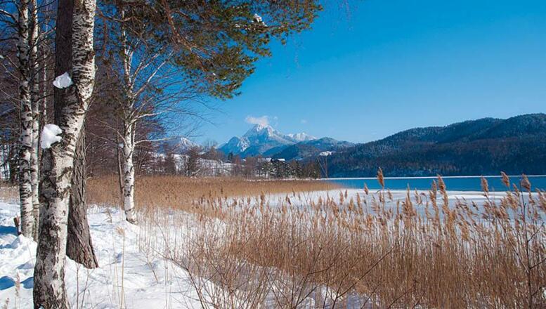 weissensee_winter_01