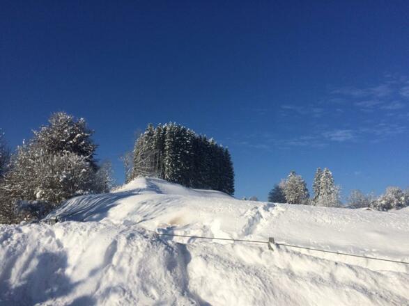 Winter in Bräunlings hinter dem Haus
