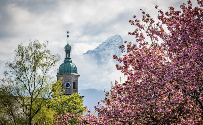 Frühling im Kurgarten Berchtesgaden