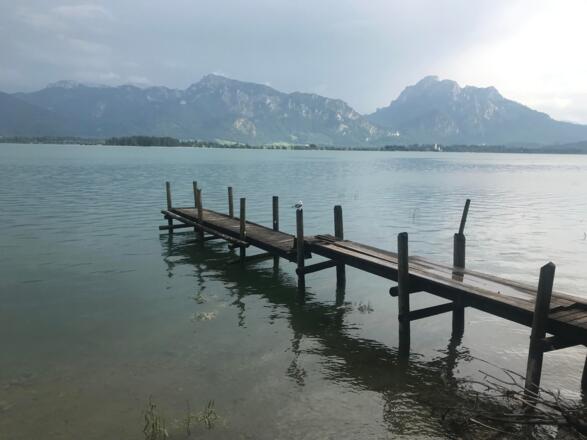Forggensee