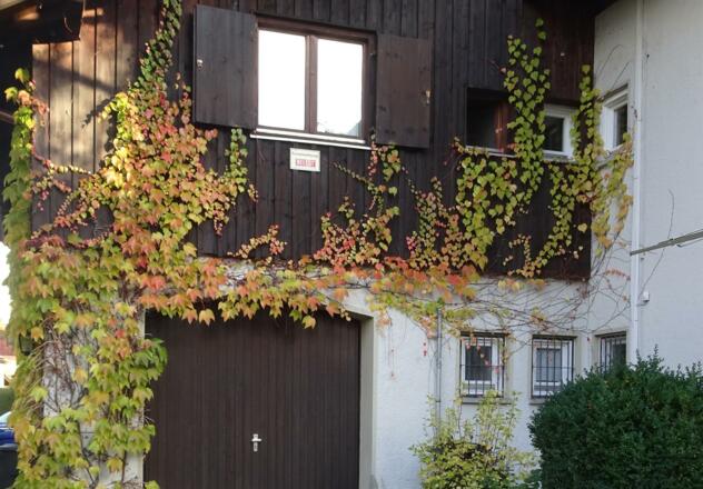 Schlafzimmerfenster auf der Hausrückseite