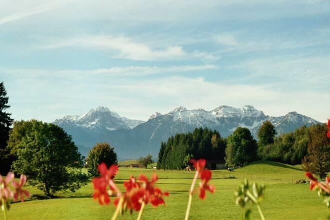 Aussicht_2