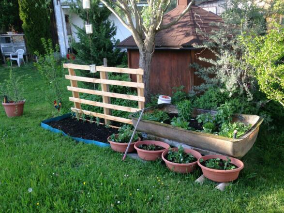 Obst und Gemüse zum pflücken