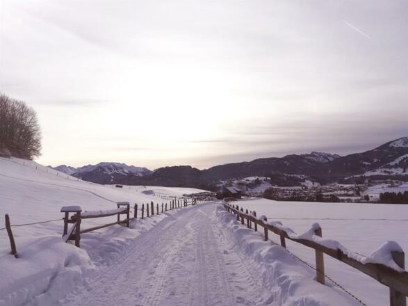 Fußweg nach Fischen