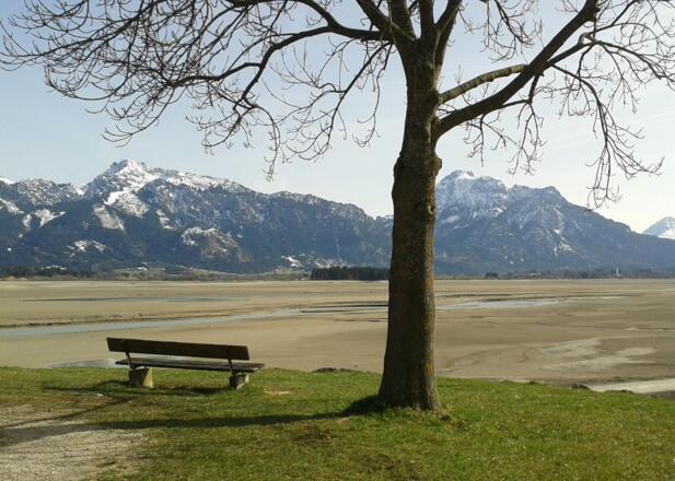 Frühling