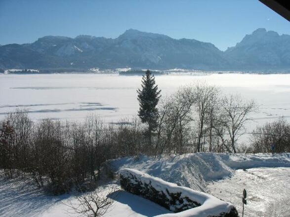 Winter 1