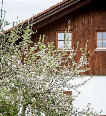 Ferienhof Schmölz, Bild 3