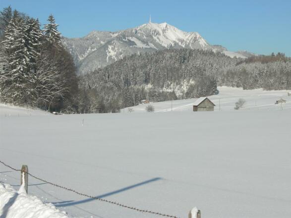 Blick zum Grünten