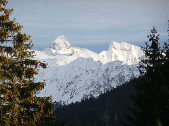 Hochvogel u. Schneck