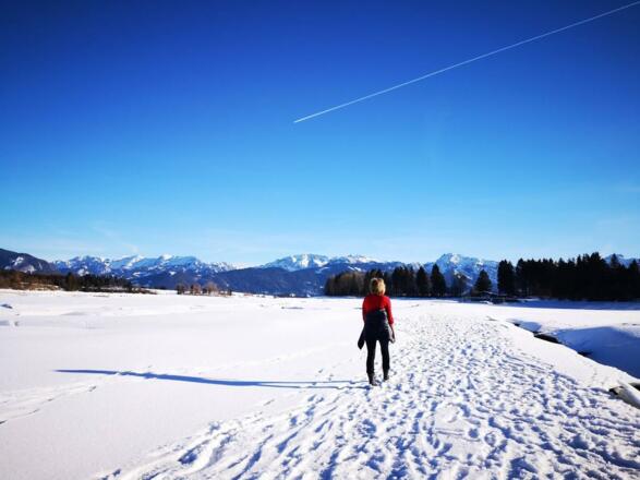 Durch den Forggensee
