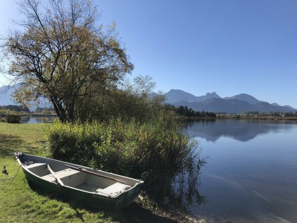 Hopfen am See