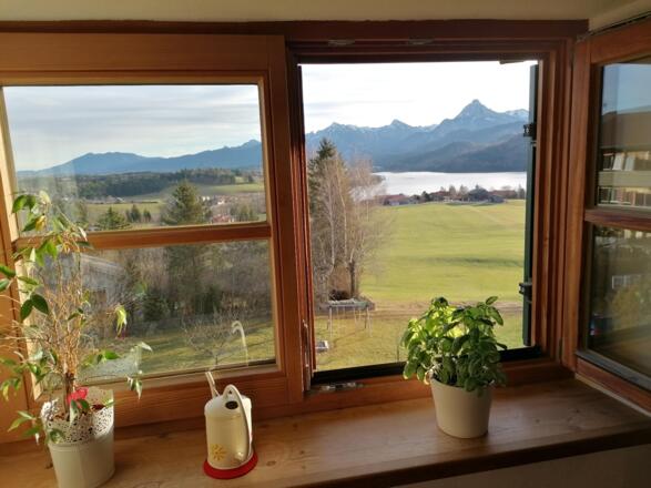 Aussicht Thymian-FeWo