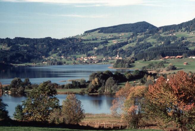 Niedersonthofener See