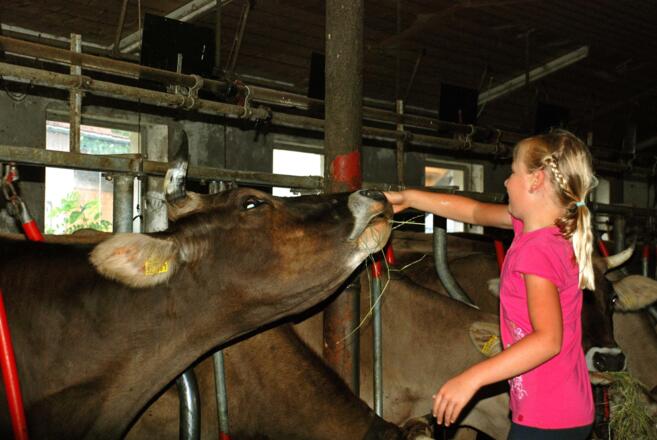 Kinder im Kuhstall