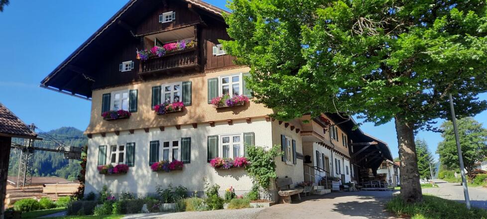 Außenansicht im Sommer
