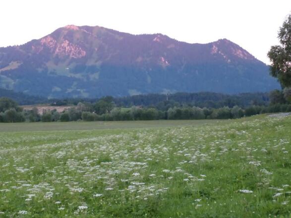 Grünten im Abendglühn