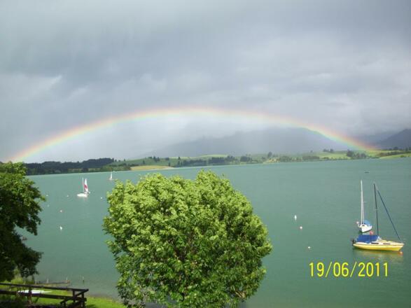 Regenbogen