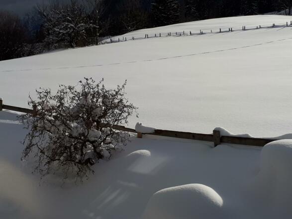 20190112_112249
