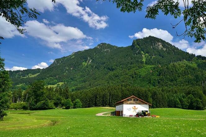 Hühnerstall, Grünten