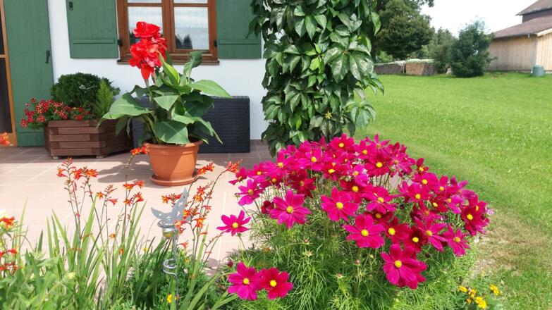 Garten1