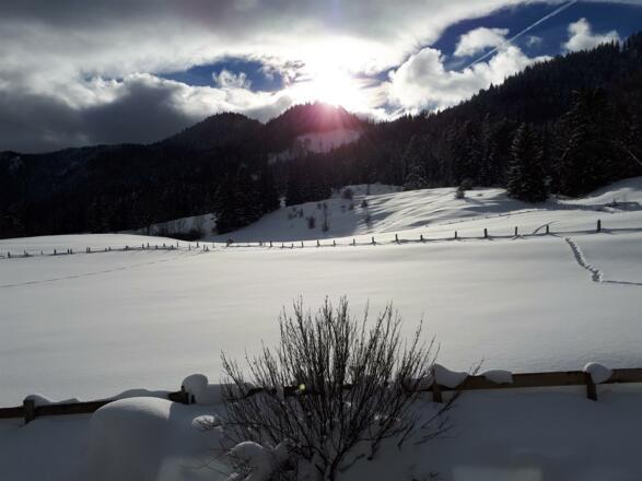 20190112_112225