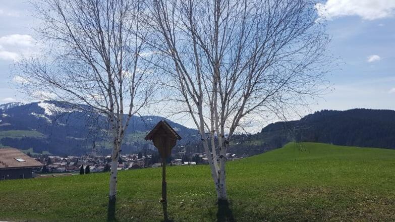 Ausblicke genießen...