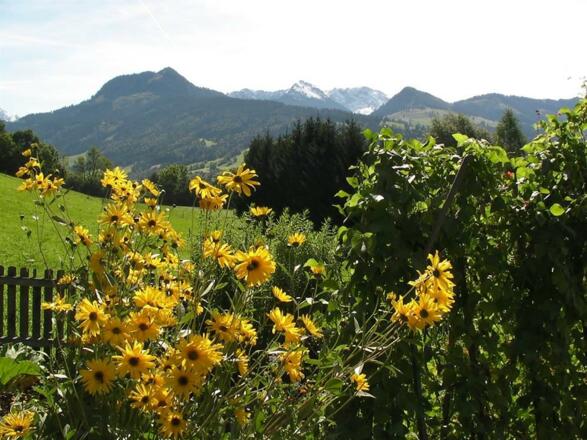 Garten und Panorama