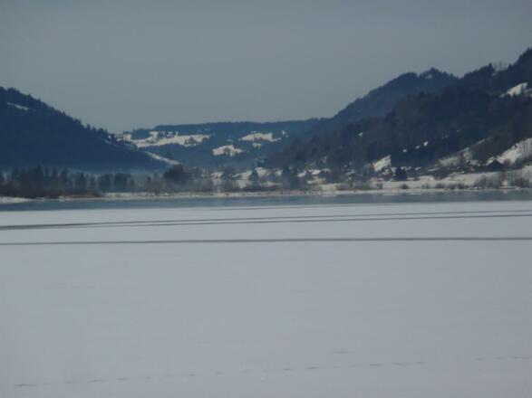 Alpsee im Winter