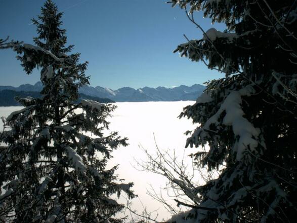 Winterausblick vom Grünten
