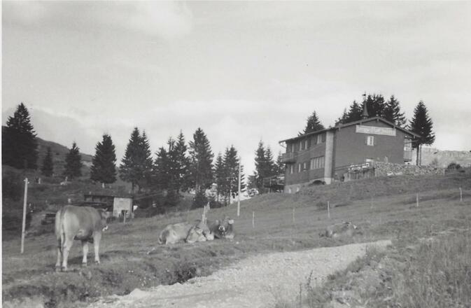 Sommer in den 80ger Jahren