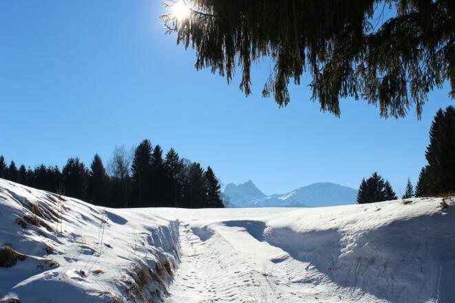 Wintersonne