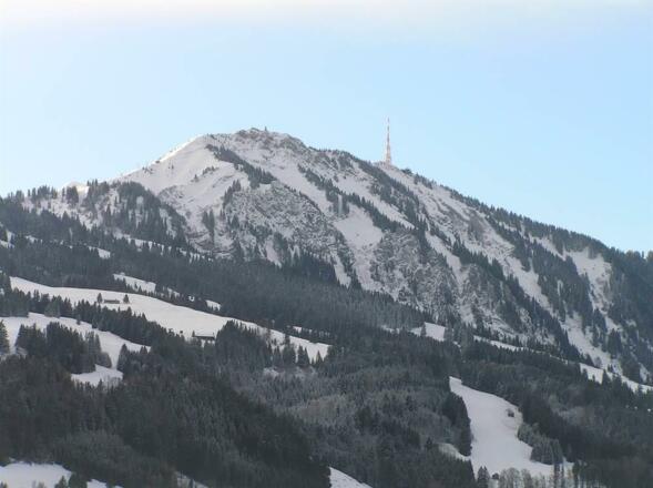Blick auf den Grünten