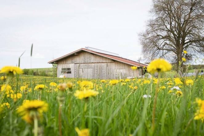 Ferienhof Schmölz, Bild 5